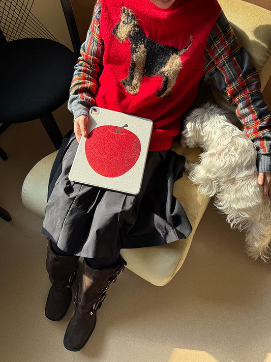 Patchwork & Apple iPad Case