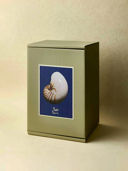 Inspired by the Coast – Ceramic Seashell Cup for Tea & Sake