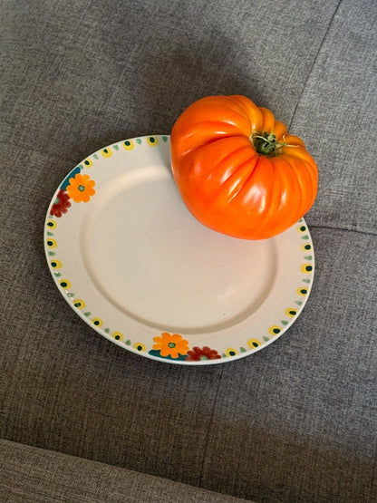 Hand-Painted Ceramic Plate - Charming Floral Art for Display & Serve