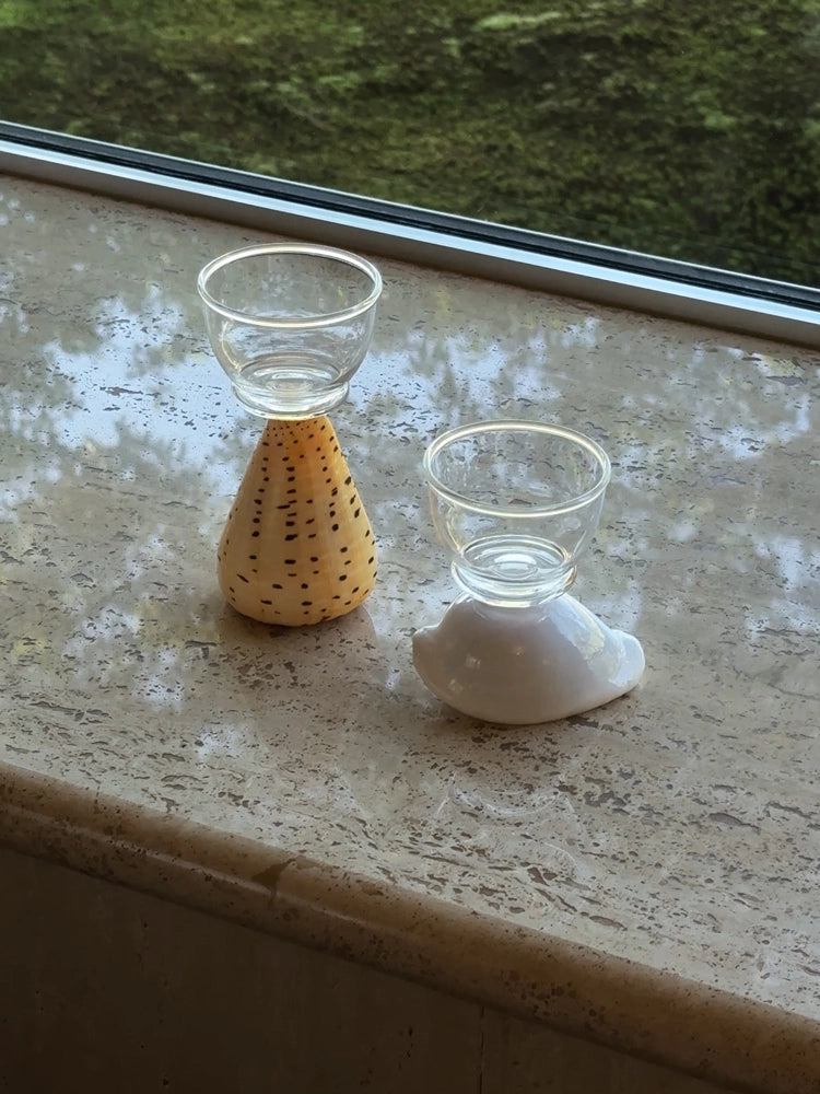 Inspired by the Coast – Ceramic Seashell Cup for Tea & Sake