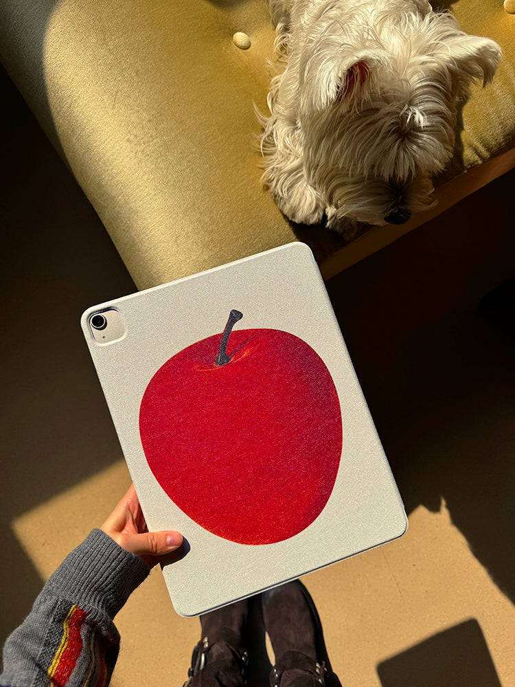 Patchwork & Apple iPad Case