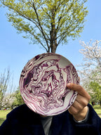Red Cabbage and Pumpkin Stripes Bamboo Fiber Plates